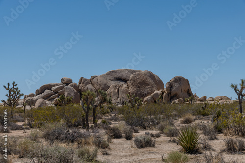 Scenic rock formation at the Joshua Tree National Park, Southern California