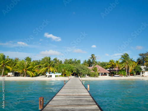 Maldives tropical islands panoramic scene, idyllic beach palm tree vegetation and clear water Indian ocean sea, tourist resort holiday vacation © jzajic