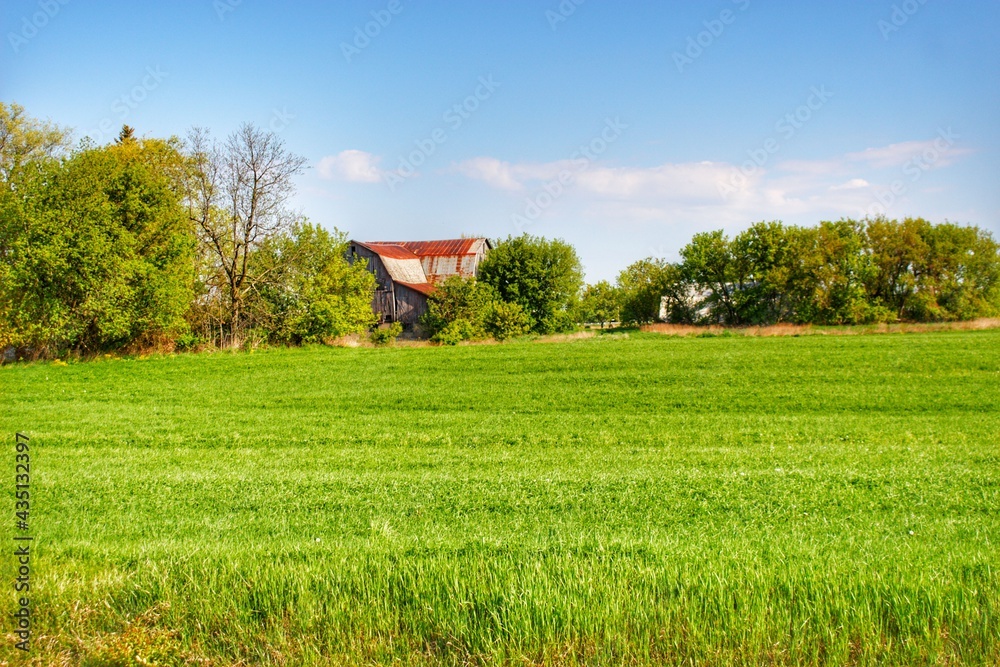 Obraz premium Deckerville Road's Hidden Red