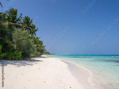 Fototapeta Naklejka Na Ścianę i Meble -  Maldives tropical islands panoramic scene, idyllic beach palm tree vegetation and clear water Indian ocean sea, tourist resort holiday vacation