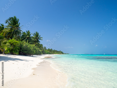 Maldives tropical islands panoramic scene, idyllic beach palm tree vegetation and clear water Indian ocean sea, tourist resort holiday vacation © jzajic