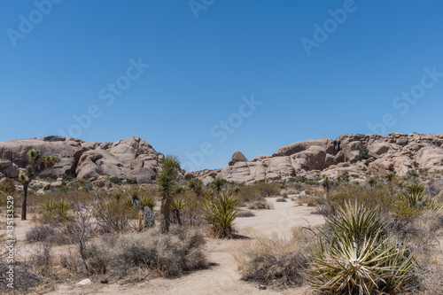 Scenic rock formation at the Joshua Tree National Park, Southern California