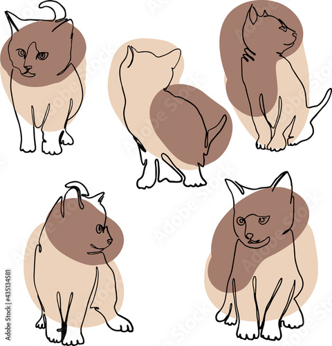 Line art Illustration happy kitten set monoline. Vector illustration