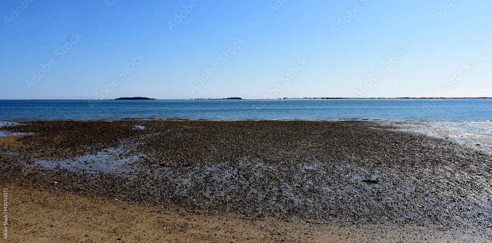 Low Tide on a Rocky Beach Along the Bay Low Tide on a Rocky Beach Along the Bay