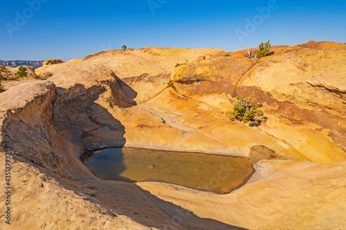 Desert Pothole on a Coloful Sandstone Ridge