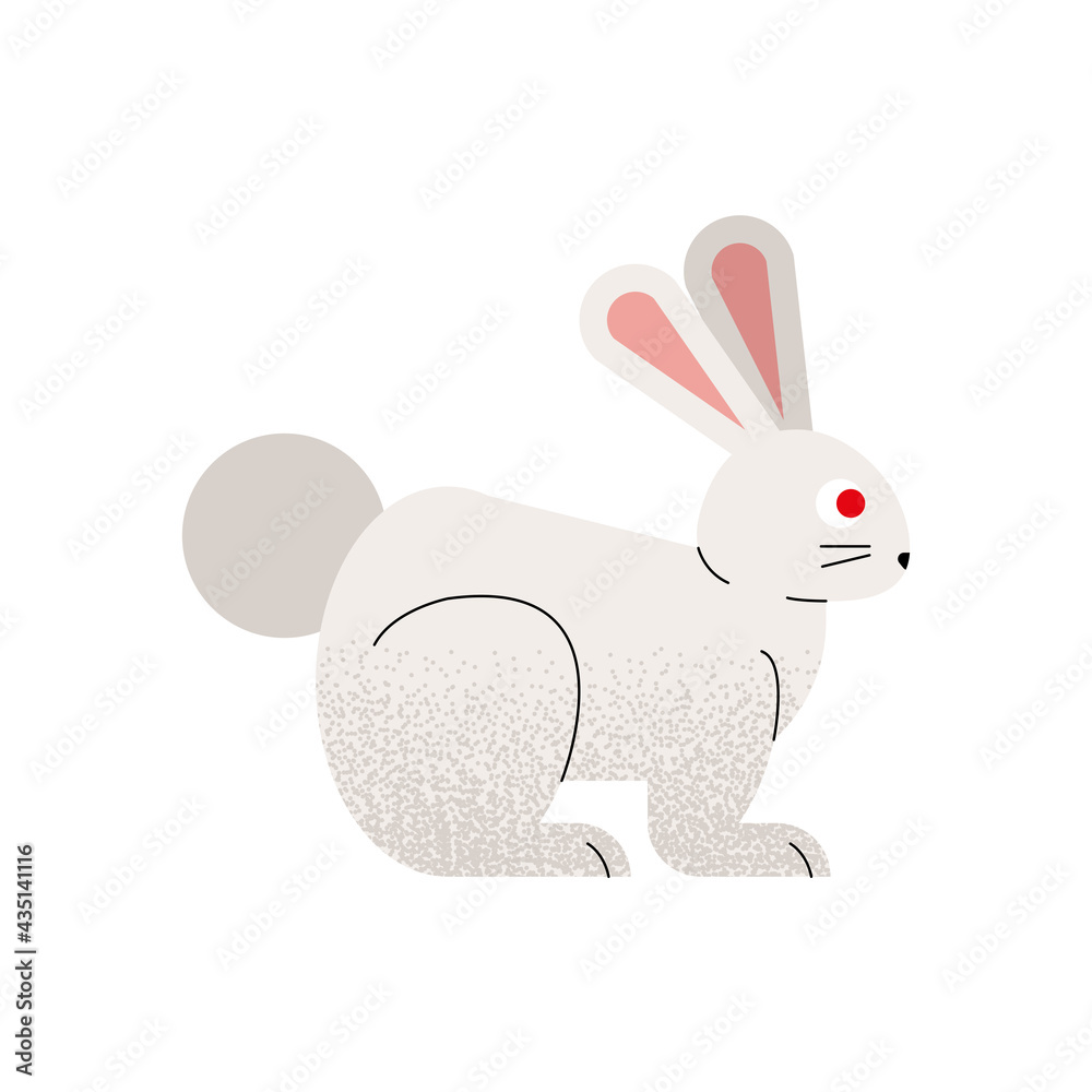 Fototapeta premium cute rabbit animal