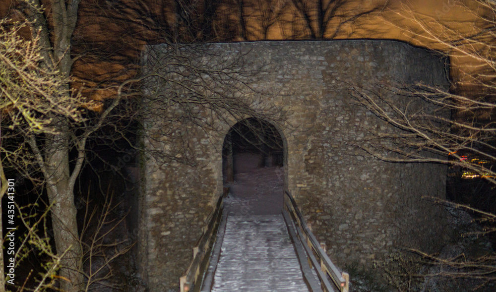 Naklejka premium Ruin