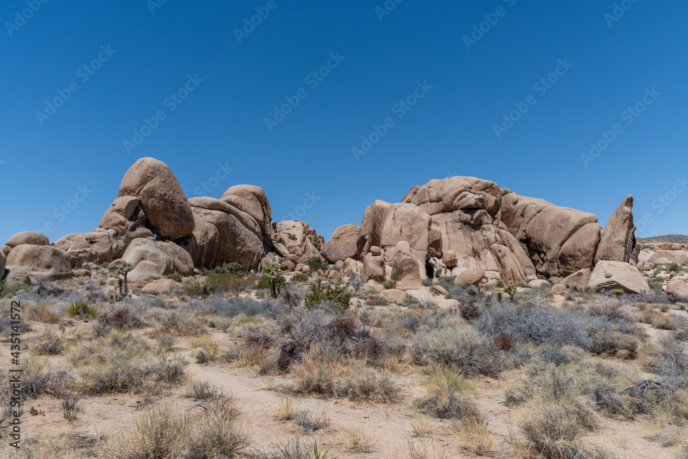 Scenic rock formation at the Joshua Tree National Park, Southern California