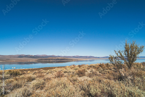 Fototapeta Naklejka Na Ścianę i Meble -  Mono lake, California in Autumn on sunny day with clear blue sky and tufa 