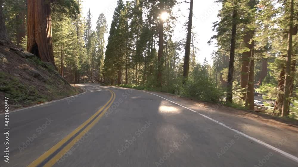 Kings Canyon National Park Grant Grove Driving Plate 02 Parking In Sierra Nevada Mts California Kings Canyon National Park Grant Grove Driving Plate 02 Parking In Sierra Nevada Mts California
