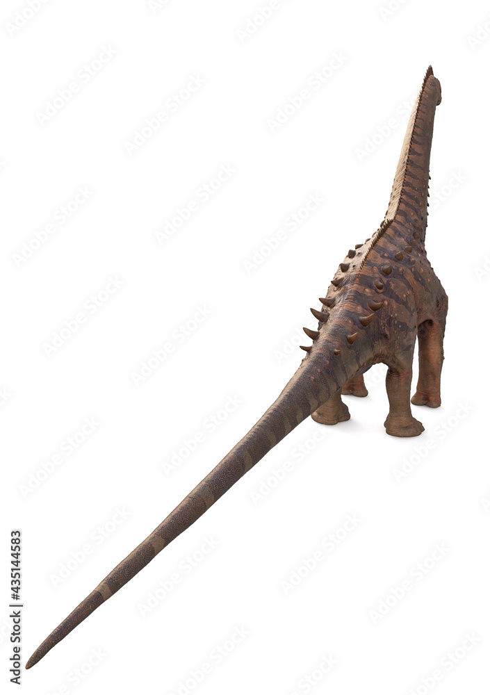 alamosaurus in white background rear view alamosaurus in white background rear view