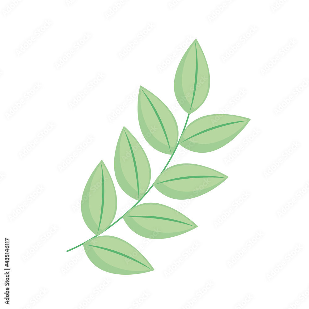 Plant leaves icon
