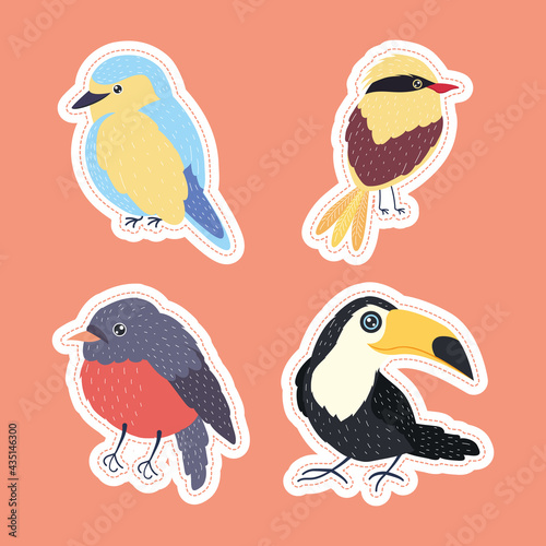 birds four species