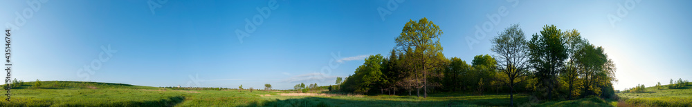 Spring forest and field on a background of blue sky Spring forest and field on a background of blue sky