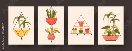 Set of contemporary art posters with hanging plants. Flowers in pots and baskets vector illustrations in pastel colors. Houseplants concept for kitchen or living room designs, social media, postcards