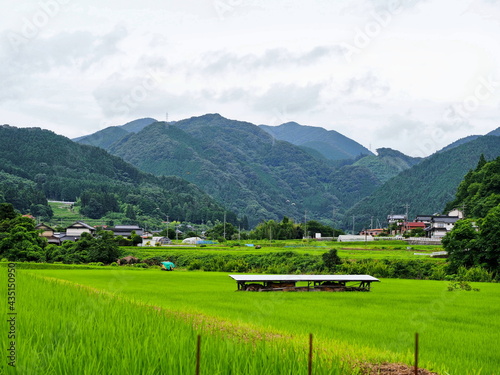 広島県三次市、ありがとうサギ。