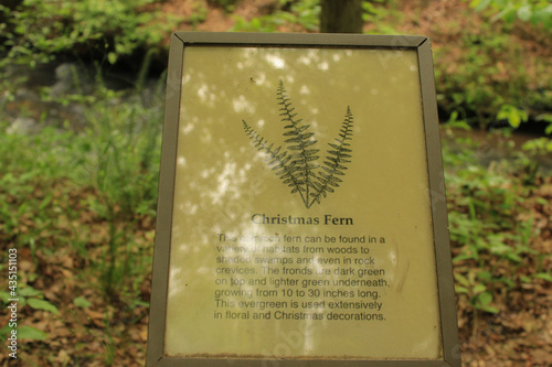 States parks all over America have hiking trials and nature trials, hikers can get back to the outdoors and wildlife and enjoy nature at its best.