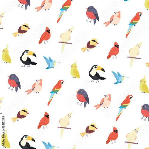 birds species pattern