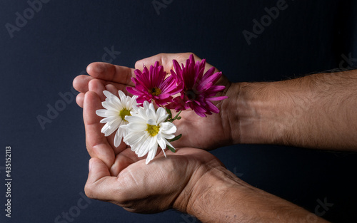 Four flowers held by the hands of a dark man, two white with yellow medium and two violet in a dark black background with light from left to right.