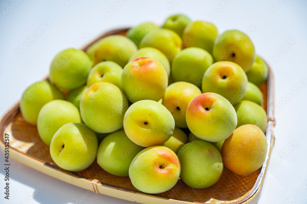 収穫した青梅　梅酒　梅シロップ