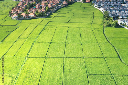 Land or landscape of green field in aerial view. Include agriculture farm, house building, village. That real estate or property. Plot of land for housing subdivision, development, sale or investment.