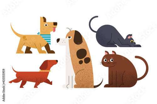 five pets domestics