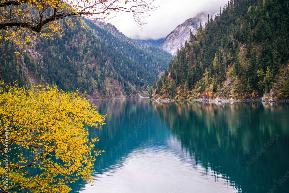 Obraz premium The Perl of Jiuzhaigou __ Long Lake is the biggest & deepest lake in Jiuzhaigou. On clear days its dark wooded hillsides & blue waters are viewed against the backdrop of the 5000m/16.400ft snow capped