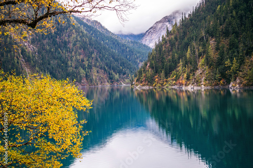 Fototapeta Naklejka Na Ścianę i Meble -  The Perl of Jiuzhaigou __ Long Lake is the biggest & deepest lake in Jiuzhaigou. On clear days its dark wooded hillsides & blue waters are viewed against the backdrop of the 5000m/16.400ft snow capped