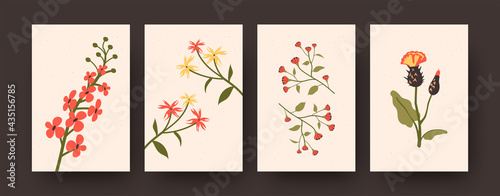 Beautiful spring flowers collection of contemporary art posters. Set of decorative flowers in pastel colors. Flowers and blossom concept for banners, postcard invitation designs or backgrounds