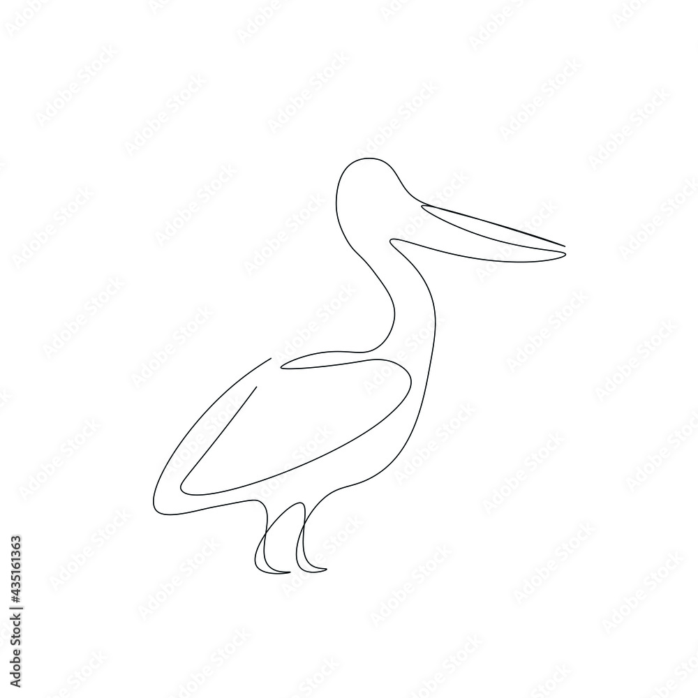 Obraz premium Pelican birds silhouette line drawing vector illustration
