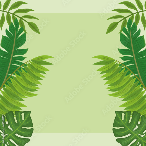 tropical vegetation leaves