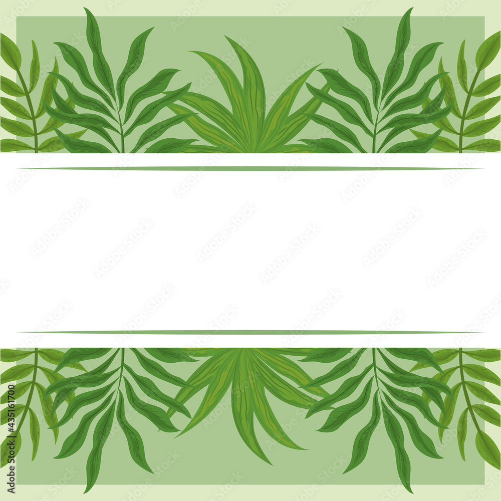 palm leaves banner