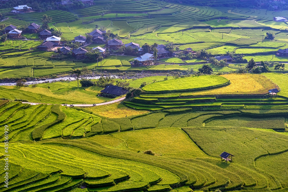 Rice fields on terraced beautiful shape of TU LE Valley, view on the road between Nghia Lo and Mu Cang Chai, Yen Bai province, Vietnam.