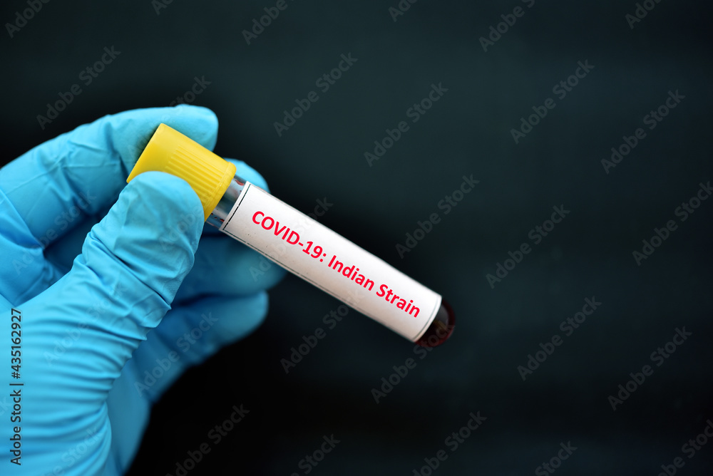 Fototapeta premium Indian strain COVID-19, blood sample tube positive with Indian strain COVID-19 virus 