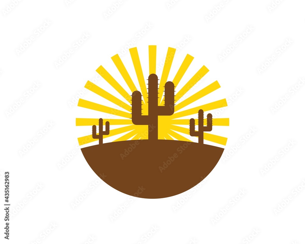Cactus desert with sunrise behind Cactus desert with sunrise behind