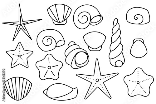 Set of molluscs sea shells. Ocean sand seashells. vector line icon. Editable stroke. Doodle style.