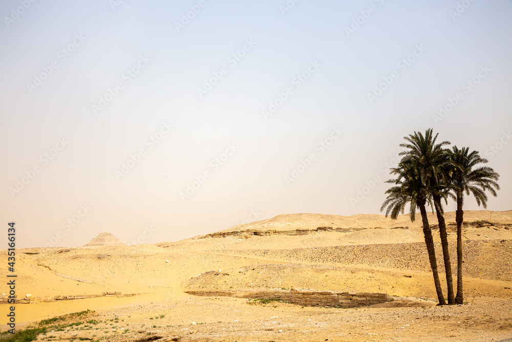View to desert and pyramid of Djoser