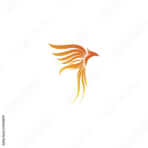 Phoenix Logo flying bird abstract design vector template. eagle eagle soaring eagle concept icon Logotype.