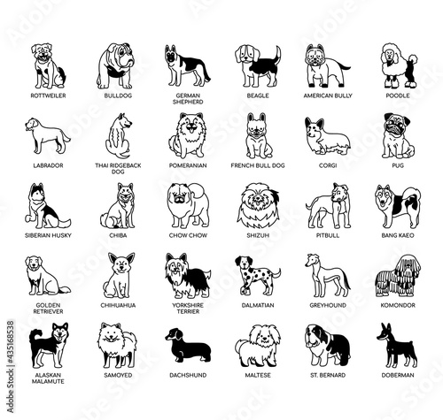Set of dog thin line and pixel perfect icons for any web and app project.