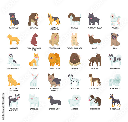 Set of dog thin line and pixel perfect icons for any web and app project.
