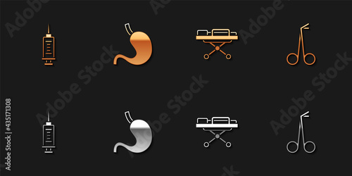 Set Syringe, Human stomach, Stretcher and Medical scissors icon. Vector