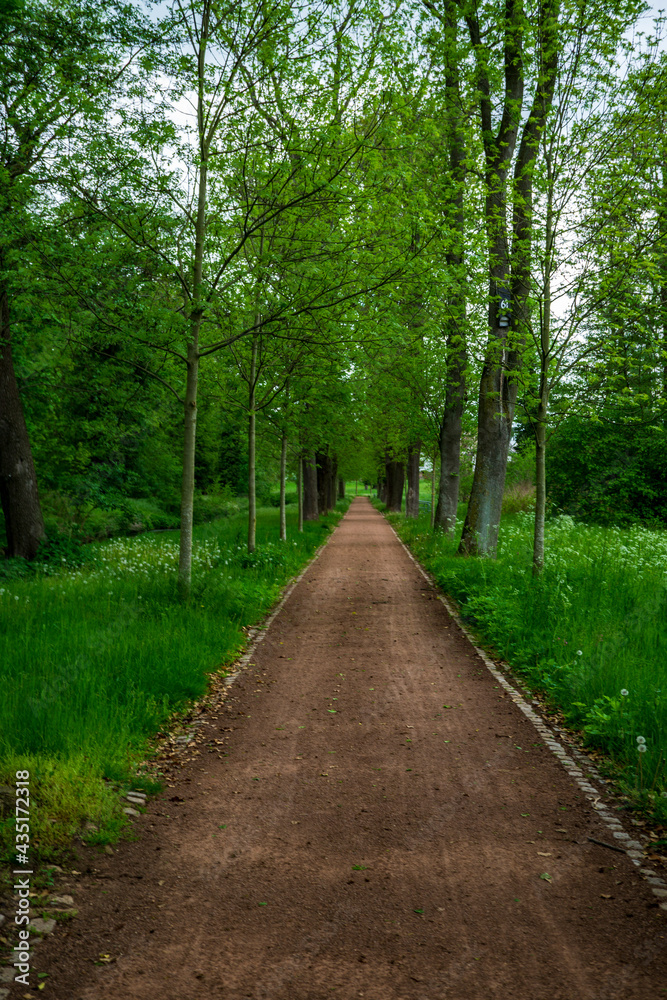 Naklejka premium Weg