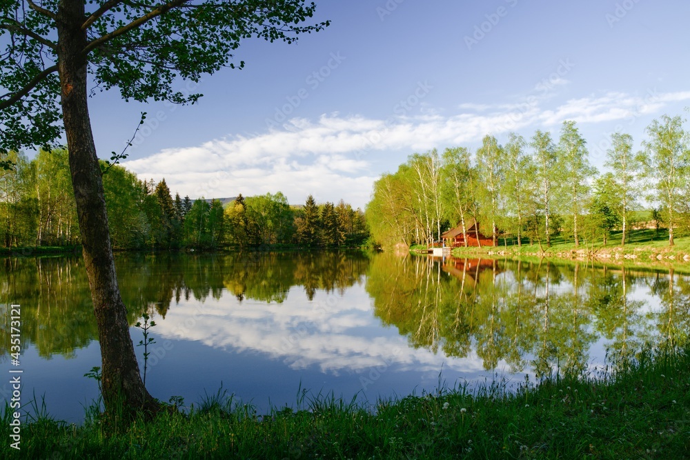 Morning by the pond. Czechia. Europe. 