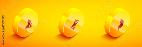 Set Isometric Stomach heartburn, DNA symbol and Human stomach icon. Vector