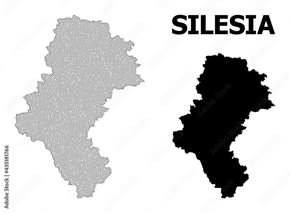 Fototapeta premium Polygonal mesh map of Silesia Province in high resolution. Mesh lines, triangles and points form map of Silesia Province.