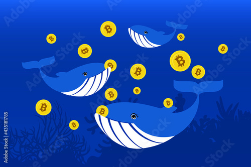 Whale is the name given to a large investor in the Bitcoin market and influences trading in the market.