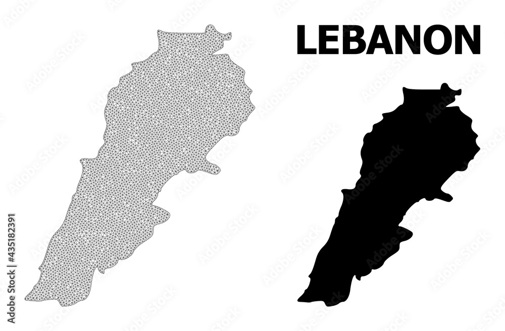 Polygonal mesh map of Lebanon in high detail resolution. Mesh lines, triangles and points form map of Lebanon.