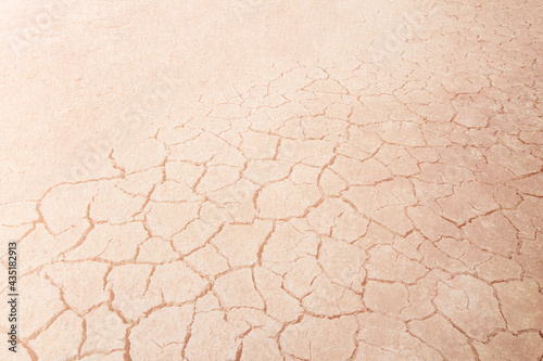 Fotomurale Close-up on dry woman skin texture with dry dessert