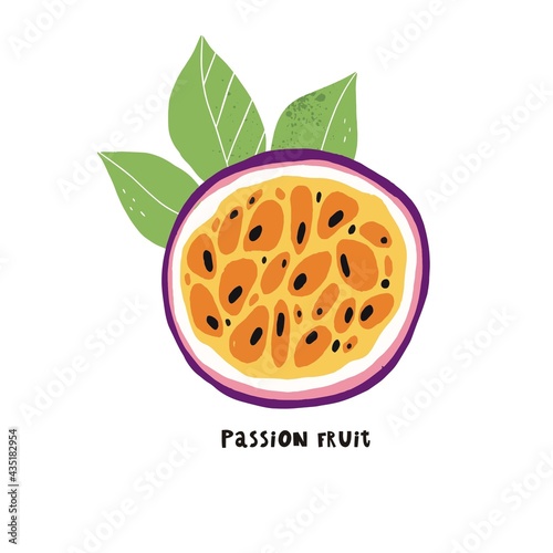 Vector illustration of passion fruit. Hand drawn vector with print passion fruit. Fresh juicy summer print. 
