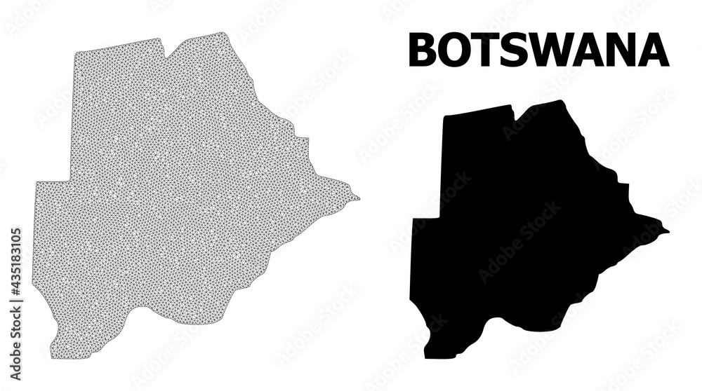 Polygonal mesh map of Botswana in high detail resolution. Mesh lines, triangles and dots form map of Botswana. High detail wire frame 2D polygonal line network in vector format on a white background.